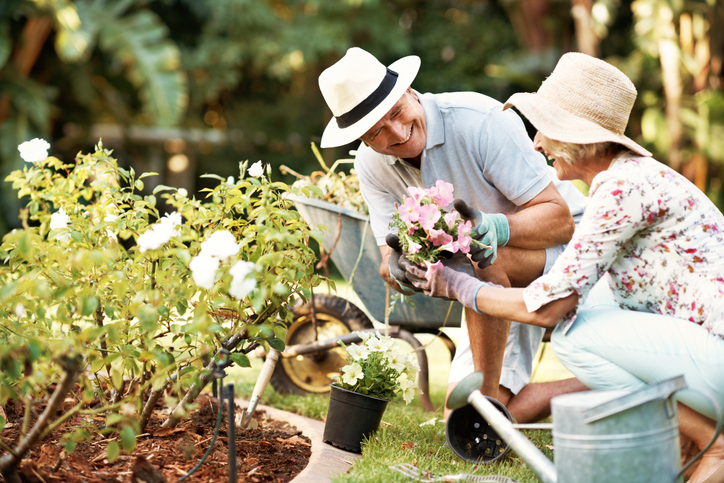 Seniors gardening at Parkwood Heights